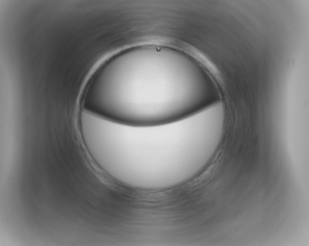 X0000112421332200908141038