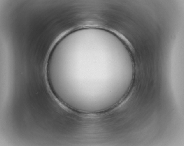 X0000112421333200908141038