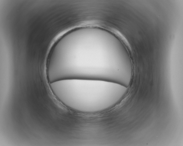 X0000112421336200908141038