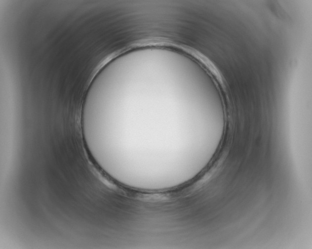 X0000112421337200908141038