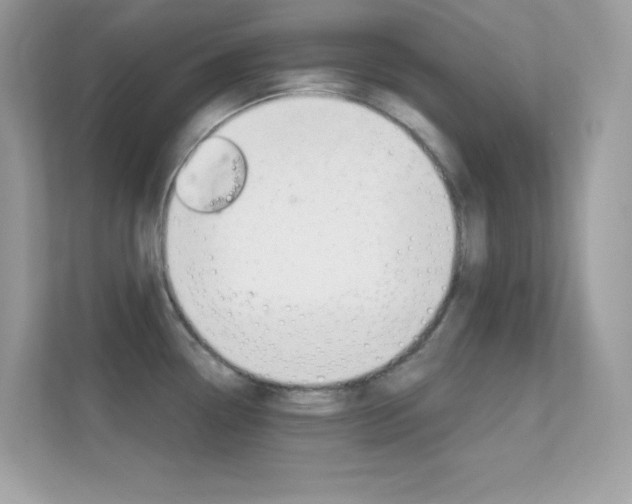 X0000112421338200908141038