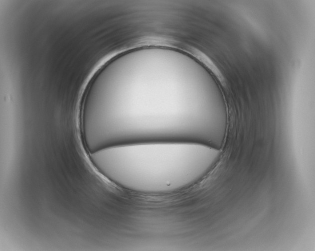 X0000112421339200908141038