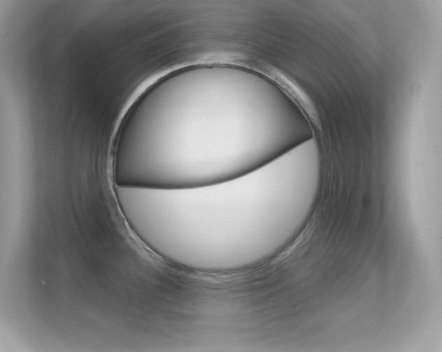 X0000112421340200908141038
