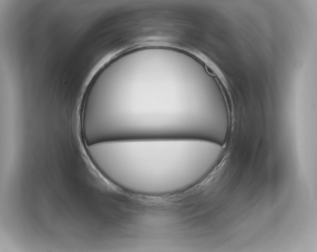 X0000112421341200908141038