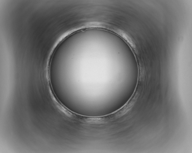 X0000112421342200908141038