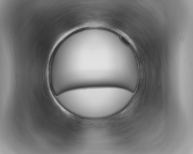 X0000112421343200908141038