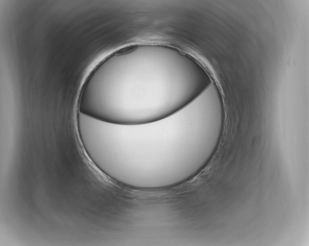 X0000112421344200908141038
