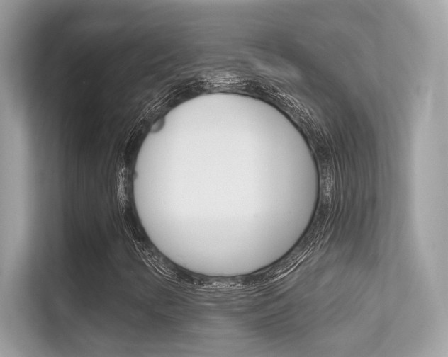 X0000112421346200908141037