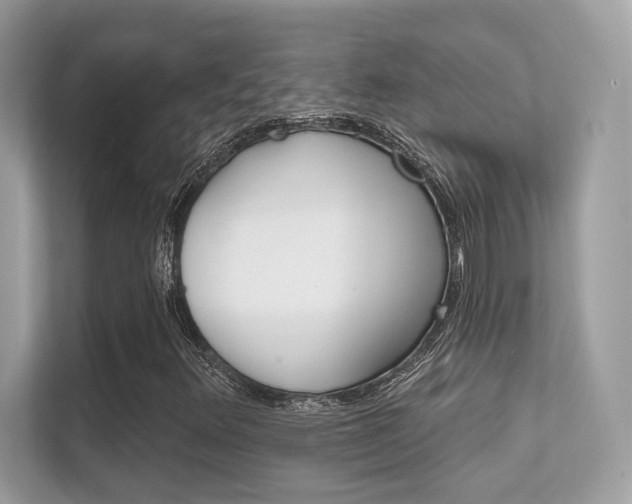 X0000112421348200908141037