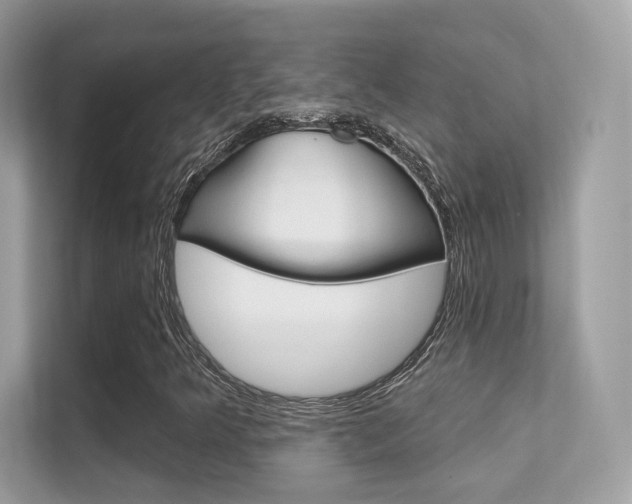X0000112421349200908141037