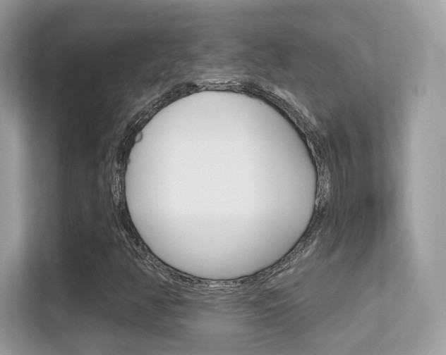 X0000112421350200908141037