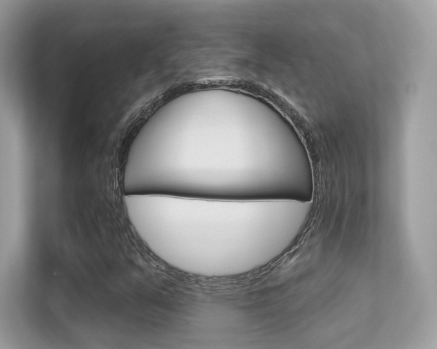 X0000112421351200908141037