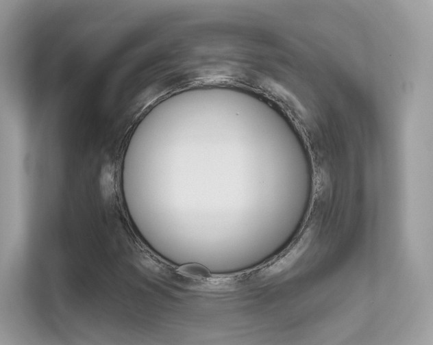 X0000112421353200908141037