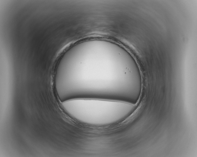 X0000112421355200908141037