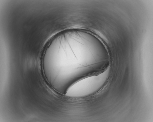 X0000112421356200908141037