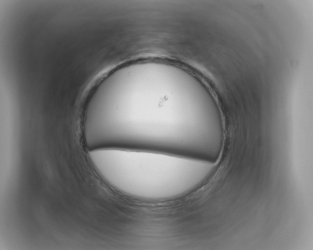 X0000112421359200908141037