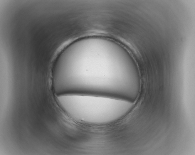 X0000112421363200908141037