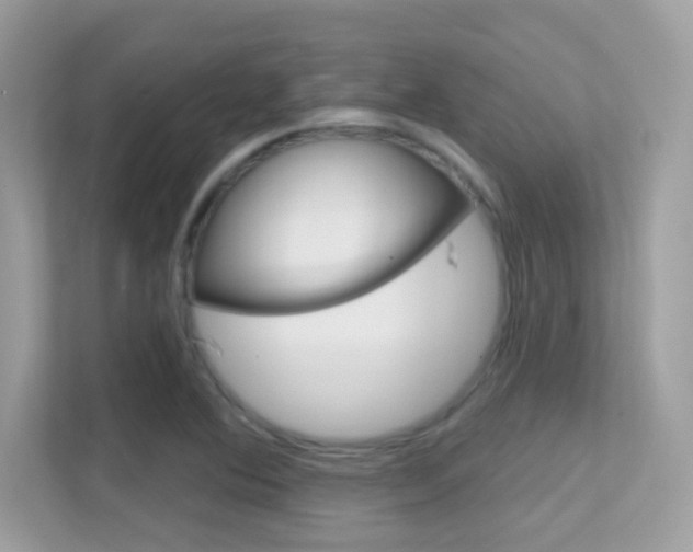 X0000112421364200908141037