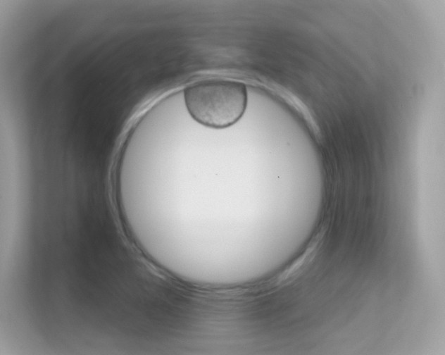X0000112421365200908141037