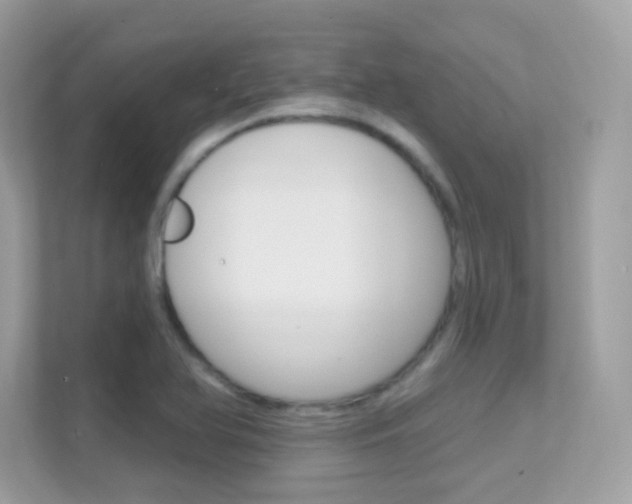 X0000112421366200908141037