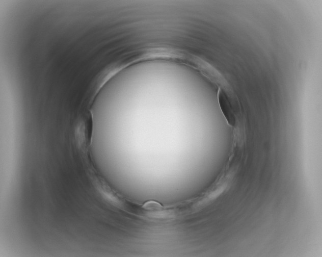 X0000112421369200908141037