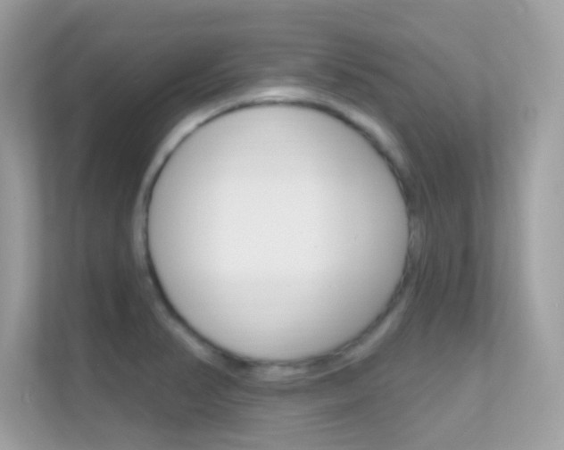 X0000112421374200908141037