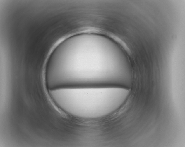 X0000112421375200908141037
