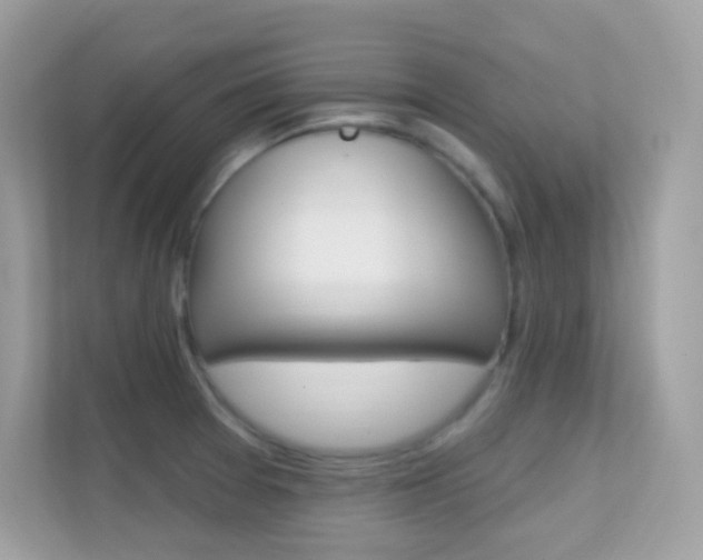 X0000112421377200908141037