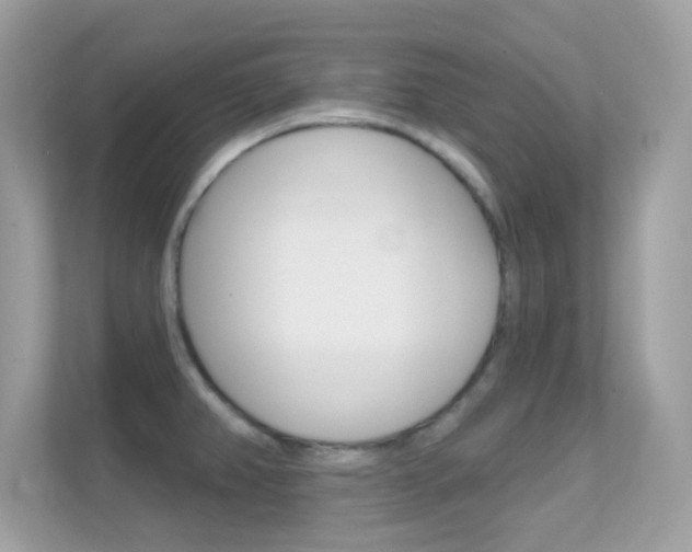 X0000112421382200908141037