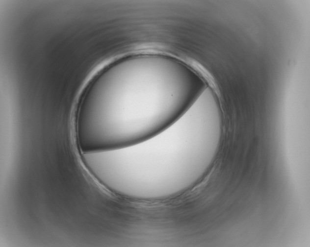 X0000112421384200908141037
