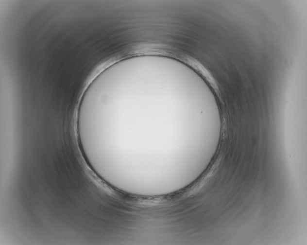X0000112421386200908141037