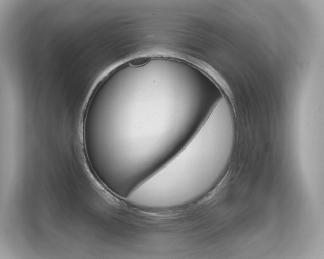 X0000112421388200908141037