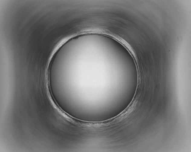 X0000112421389200908141037