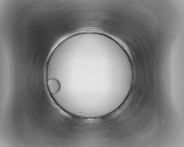 X0000112421390200908141037