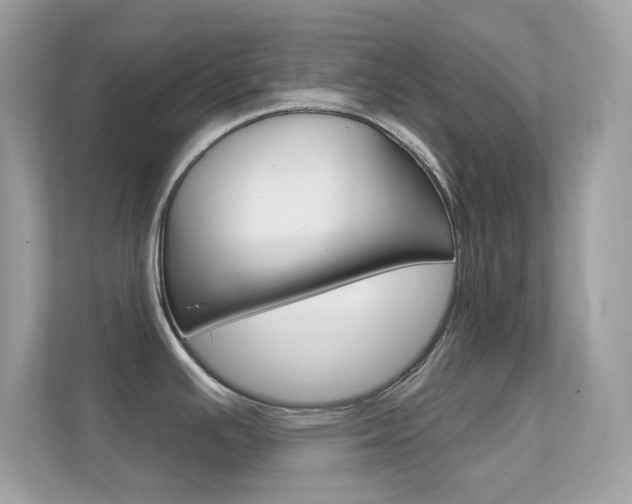 X0000112421391200908141037