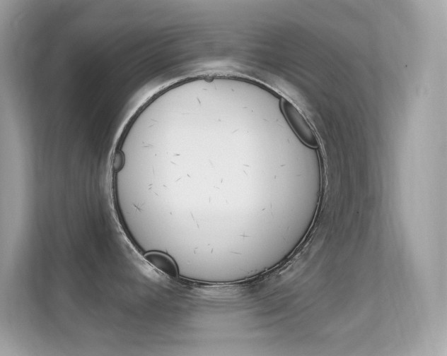 X0000112421392200908141037