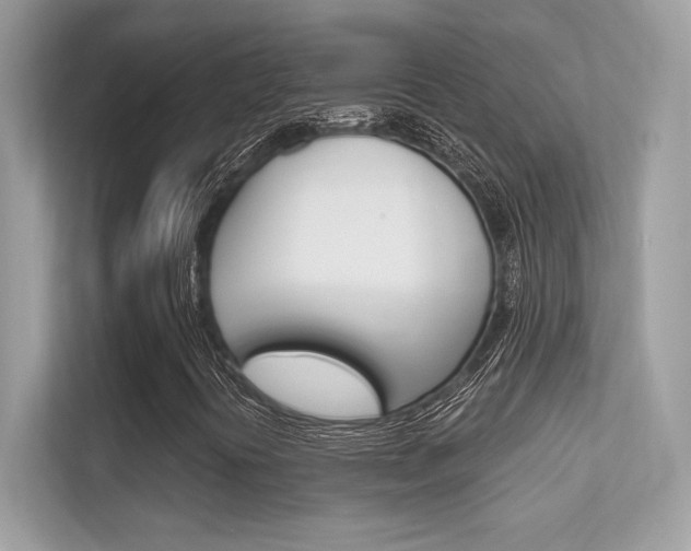 X0000112421394200908141036