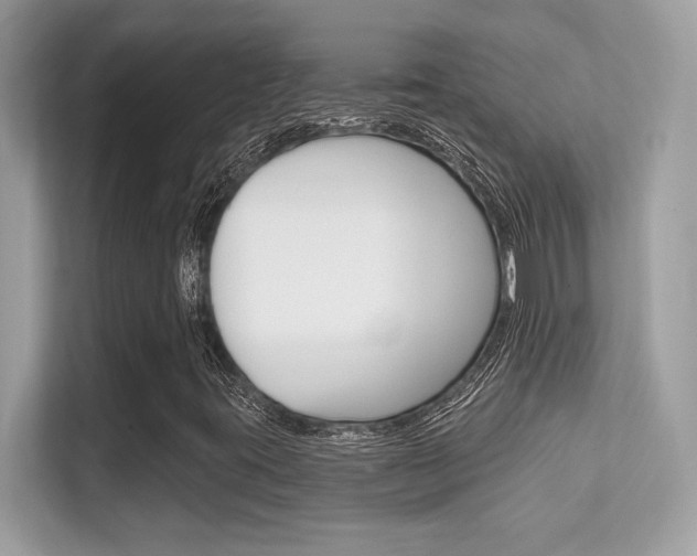 X0000112421395200908141036