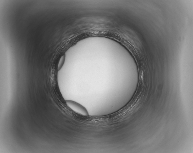 X0000112421396200908141036