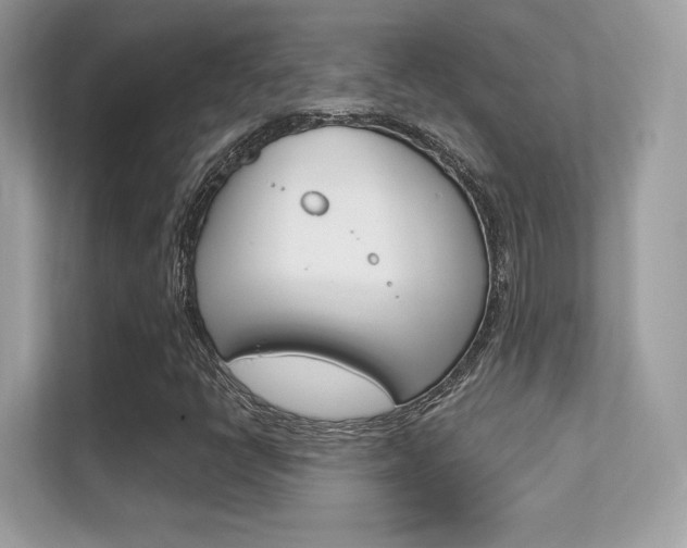X0000112421398200908141036