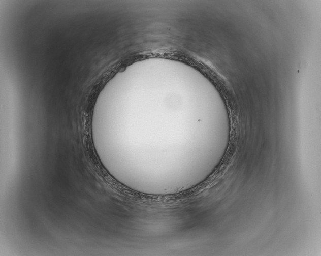 X0000112421399200908141036