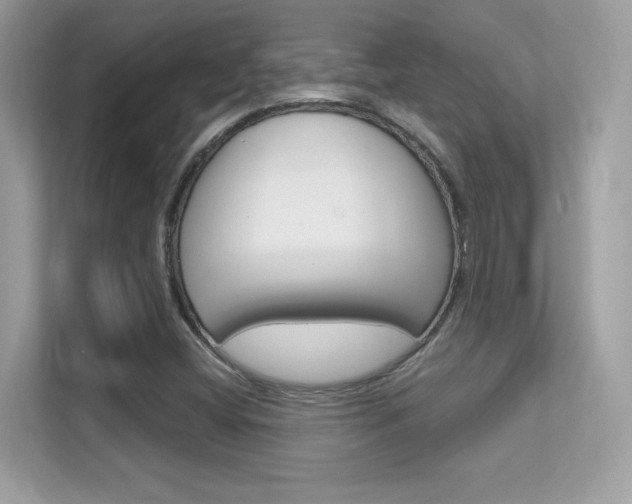 X0000112421404200908141036