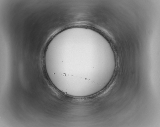 X0000112421405200908141036