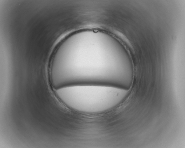 X0000112421412200908141036
