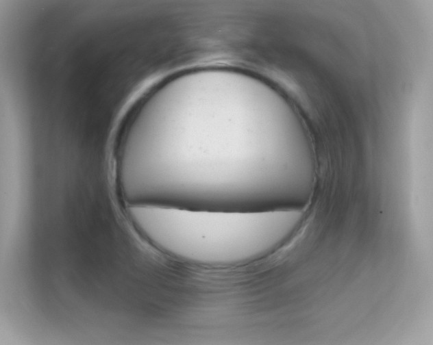 X0000112421414200908141036