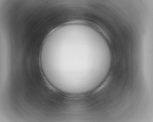 X0000112421417200908141036