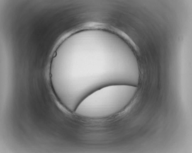 X0000112421421200908141036