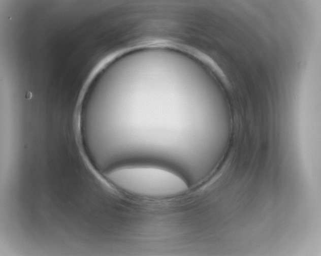 X0000112421424200908141036