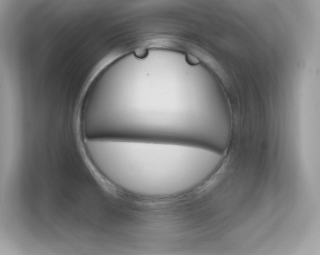 X0000112421426200908141036
