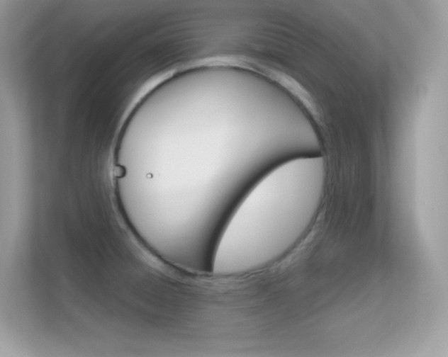 X0000112421428200908141036